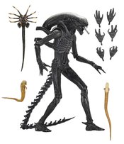 No Image Available